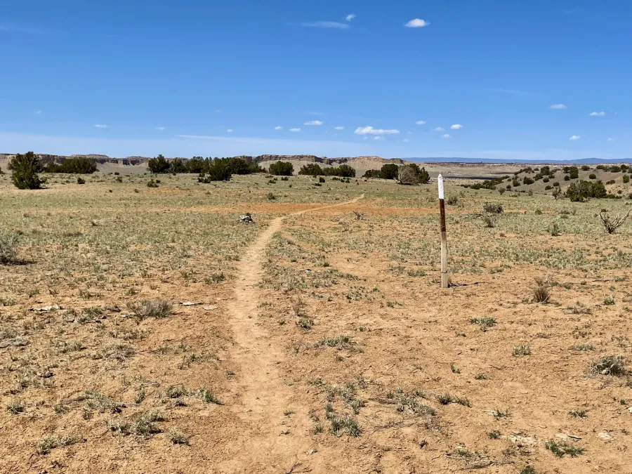 Back on single-track trail