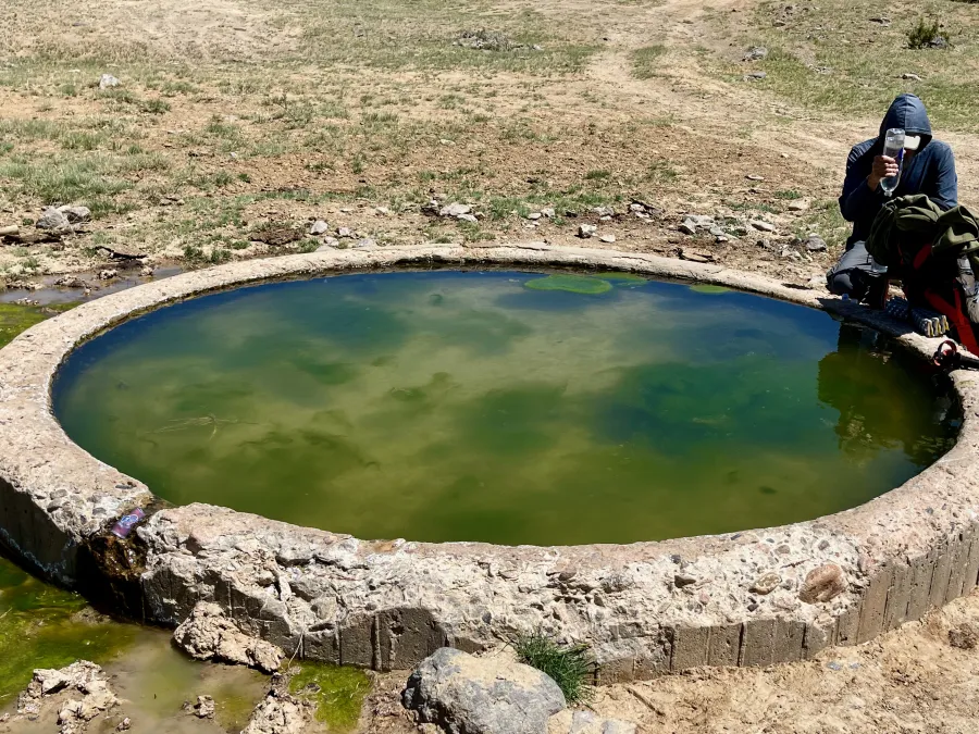 Zigzag filters water from a cow tank