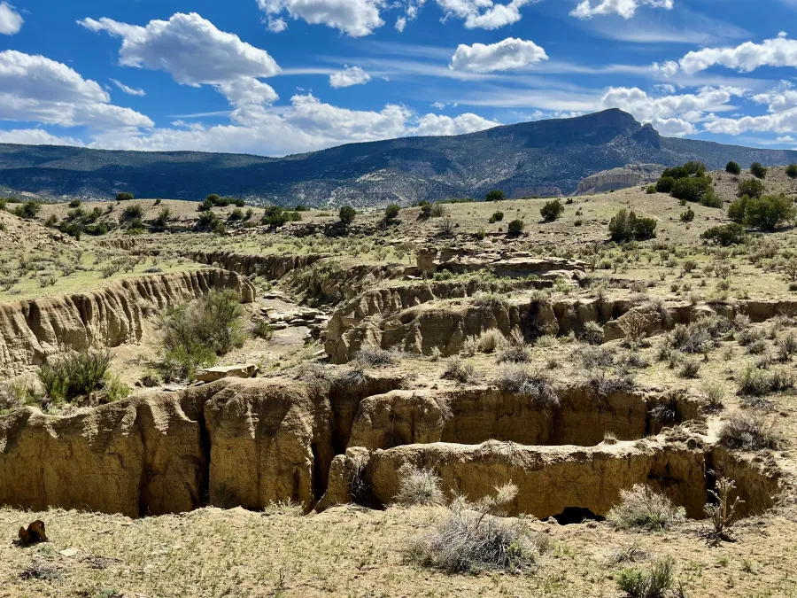An eroded arroyo