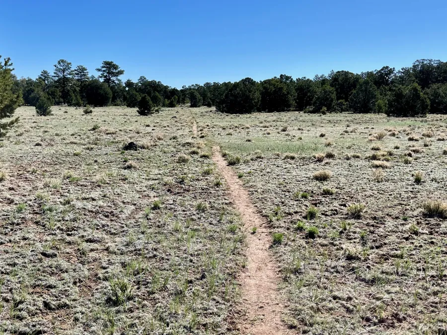 Flat, single-track trail