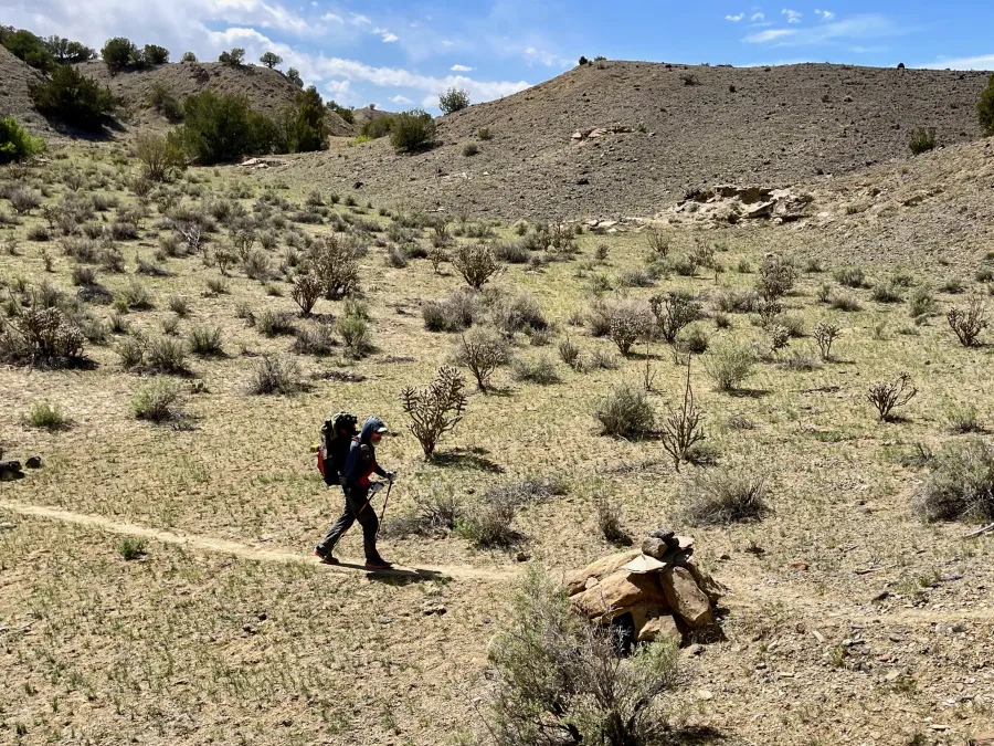 Zigzag walks through a wash
