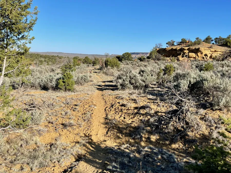 Leaving Jones Canyon 