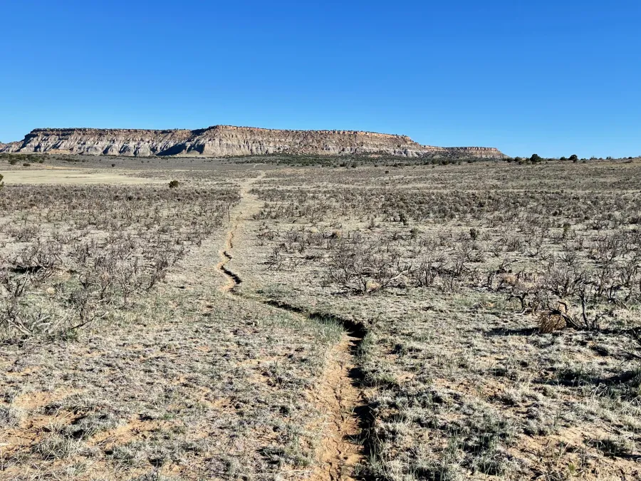 A view of Mesa Portales