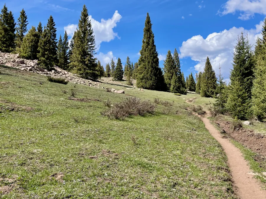 No snow in a park