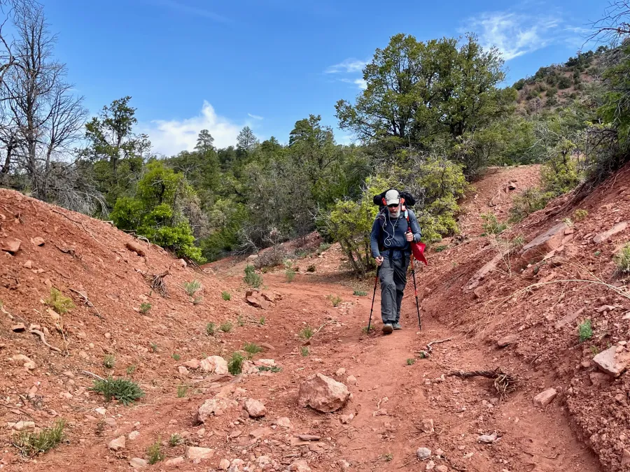 Zigzag follows the trail on a dirt road
