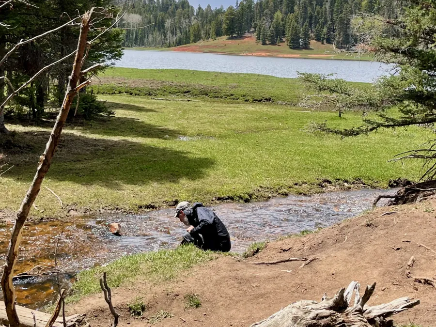 Zigzag collects water at Clear Creek