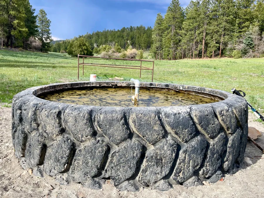 A cow tank made from a tractor tire
