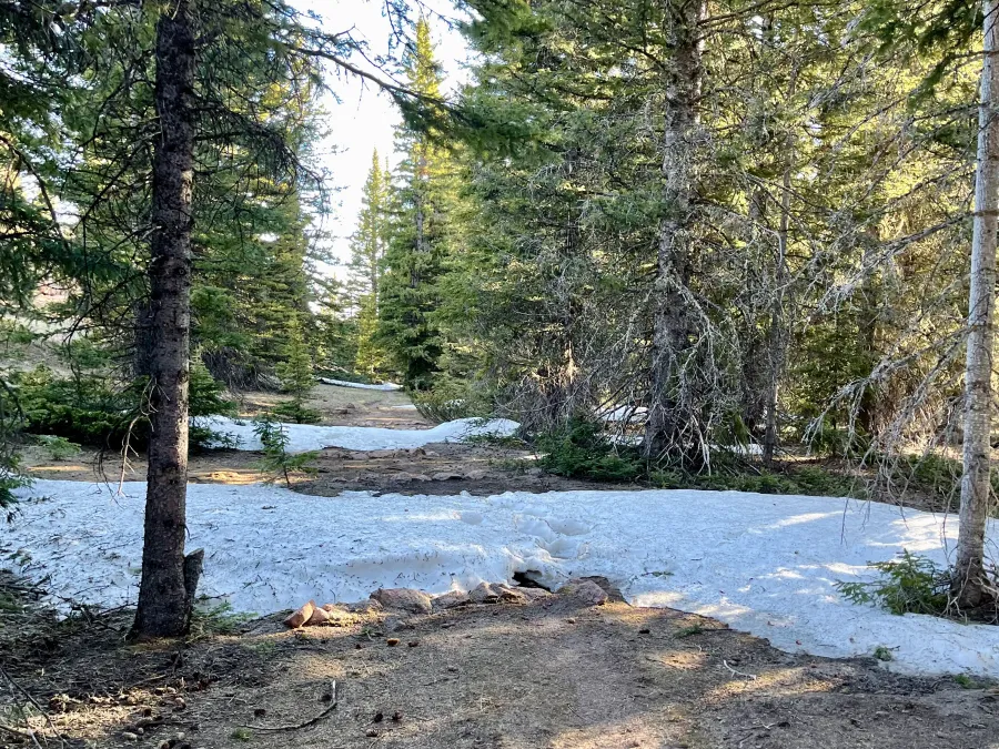 Snow on the trail
