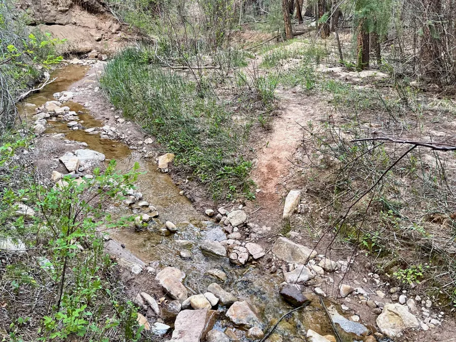 The trail crosses a small stream