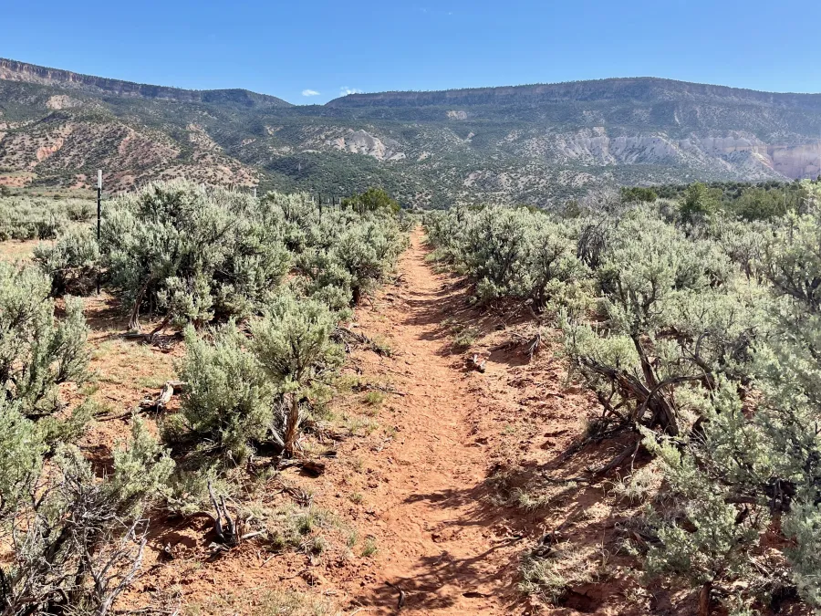 The trail goes straight across the desert