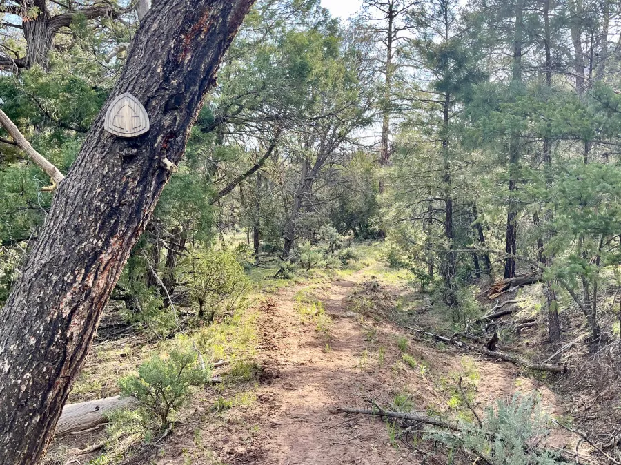 The Continental Divide Trail