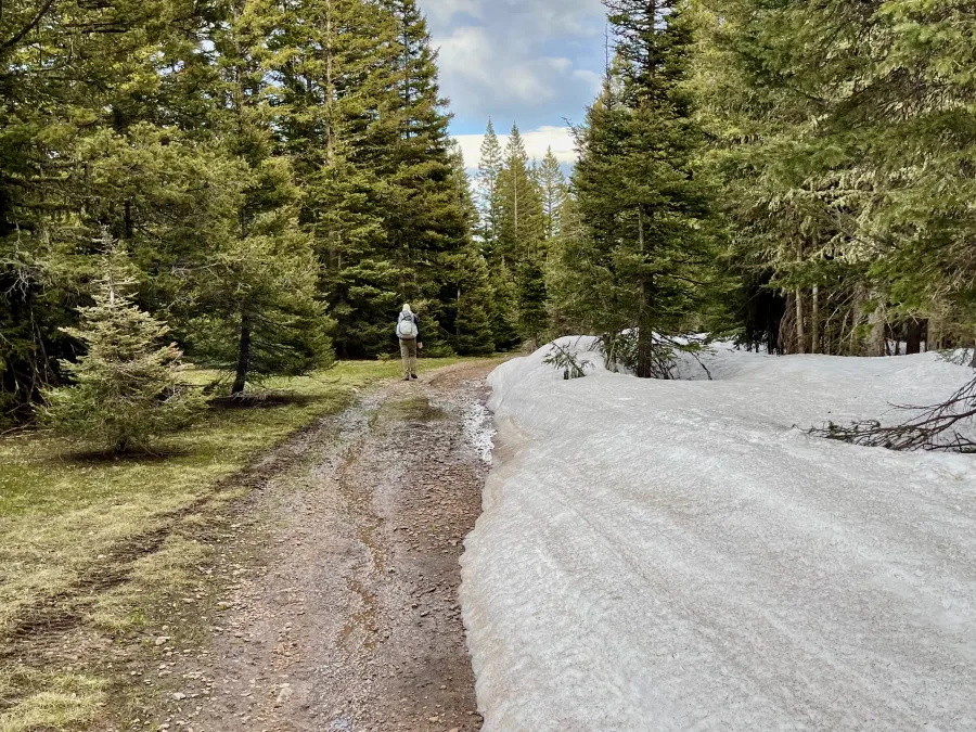 Piles of snow on a road
