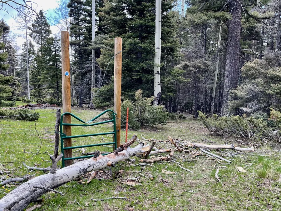 A gate that was broken by a fallen tree