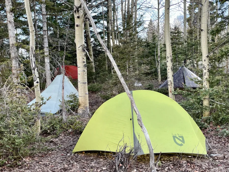 Tents are wedge between trees