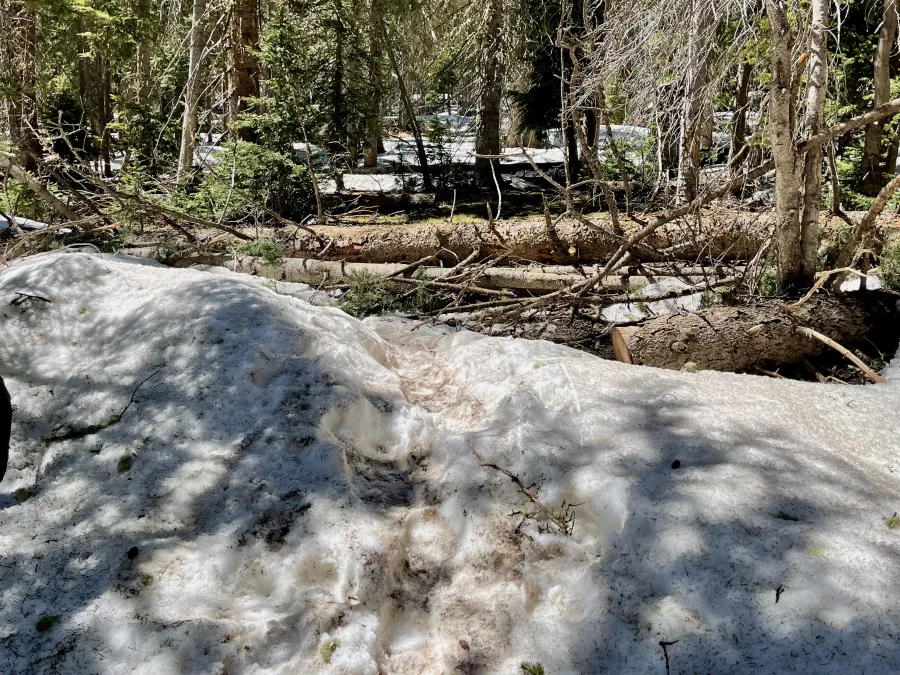 Deep snow