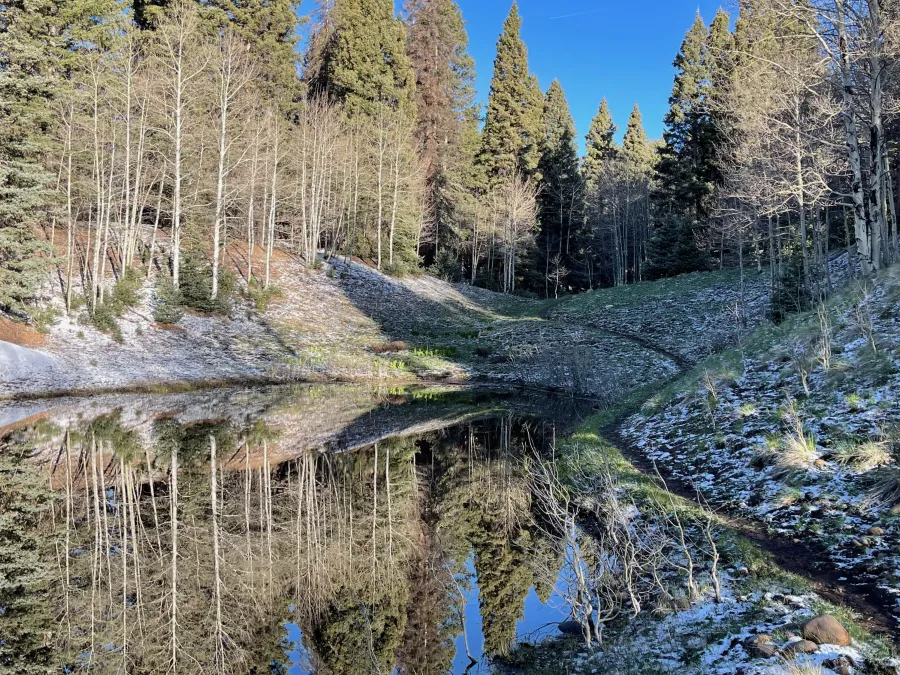 A pond near Lagunitas Campground
