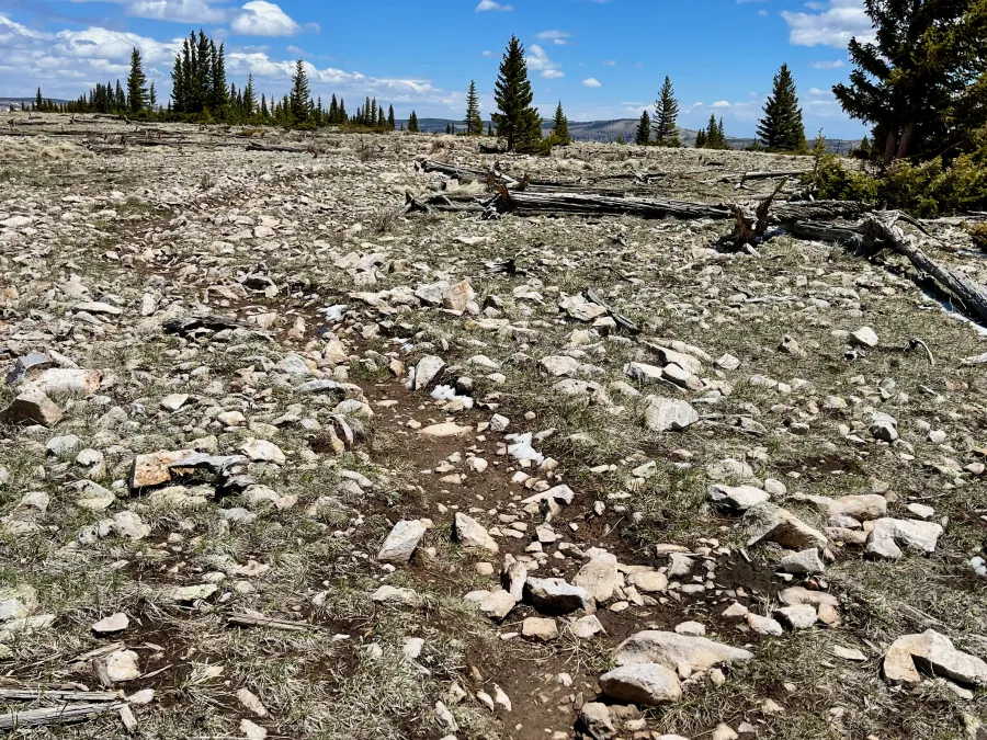 Rocks on the trail