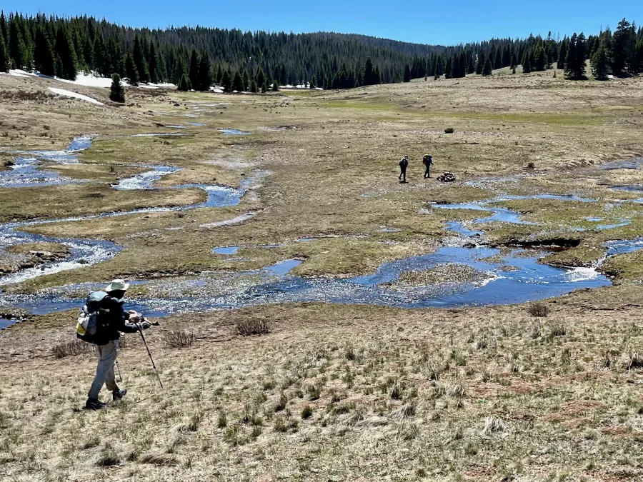 Snowmelt flows through a basin