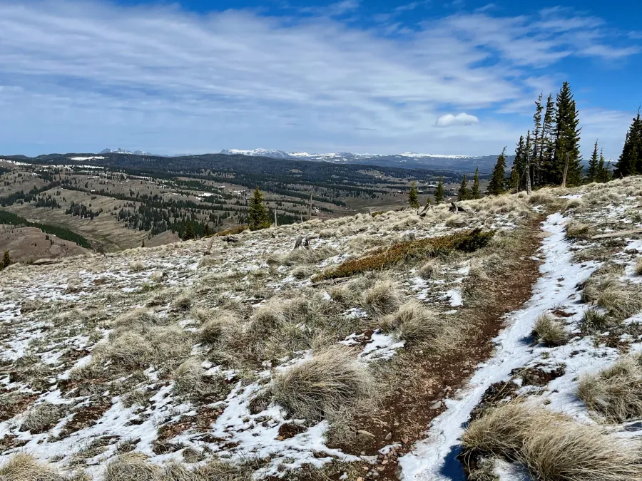 A view from New Mexico of snow-covered peaks in Colorado