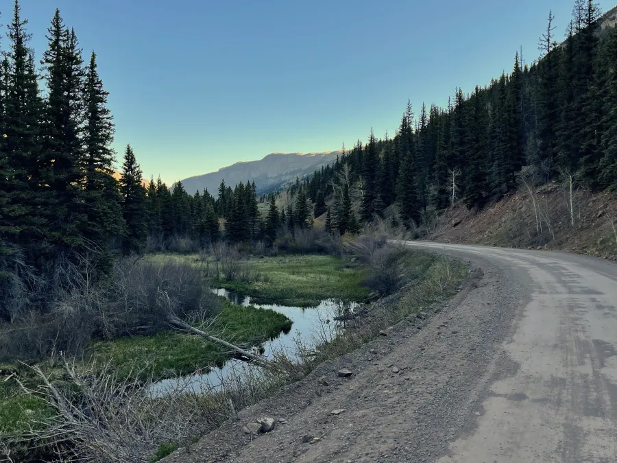 Forest Road 250 in morning shadows