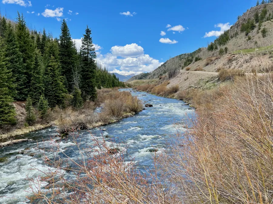 Conejos River