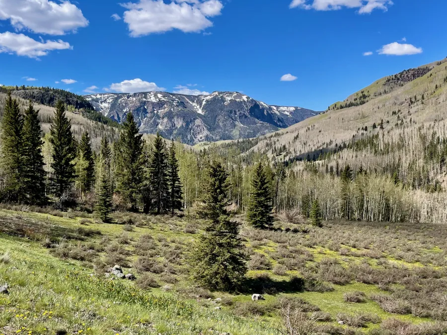 A view of a snow-covered ridge