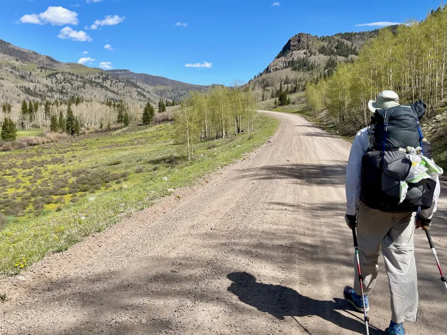 Walking on Forest Road 250
