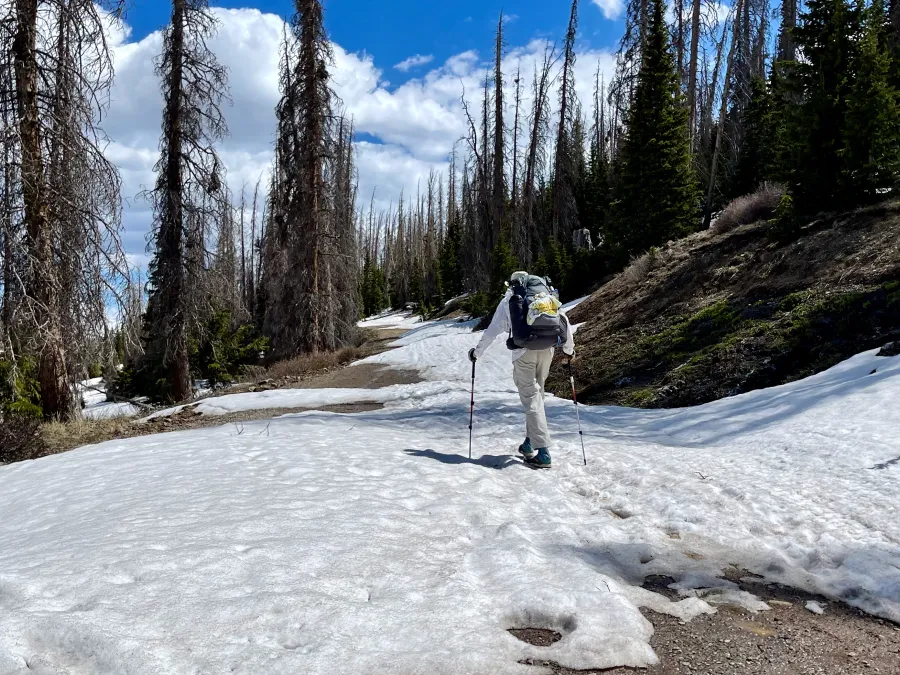 Top O' walks across snow at 11,000 feet