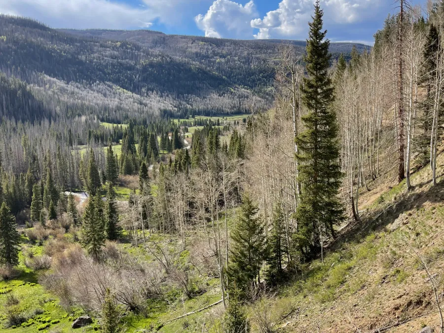 A view of Park Creek