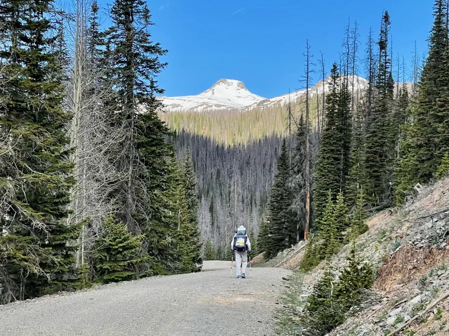 Snow on Montezuma Peak