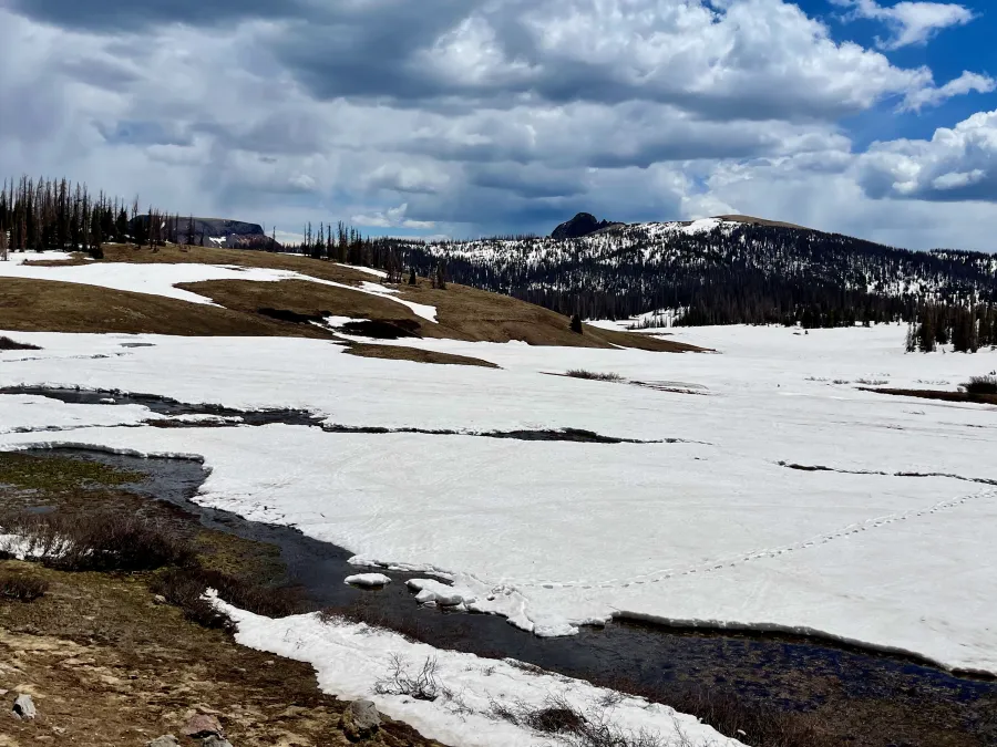 Looking toward Elwood Pass