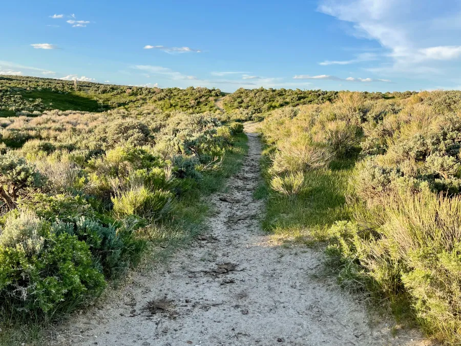 The Continental Divide Trail