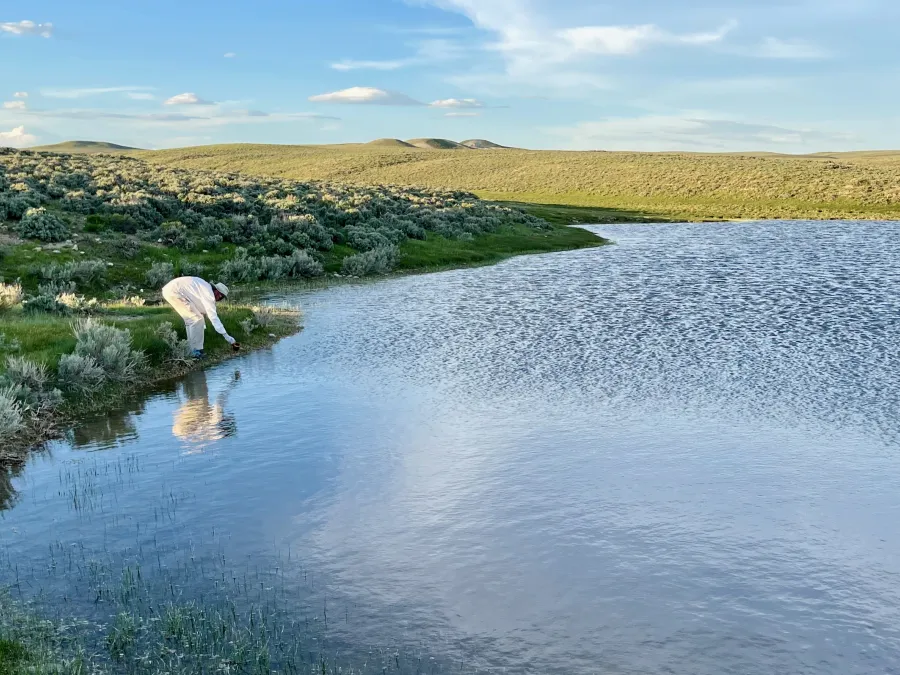 Top O' collects water from a pond
