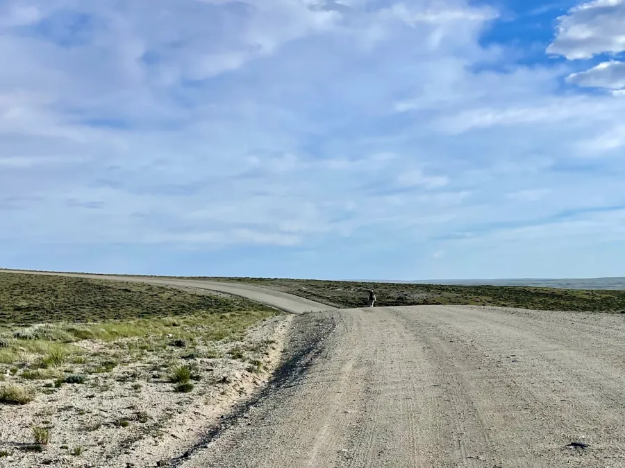 A curve in the road