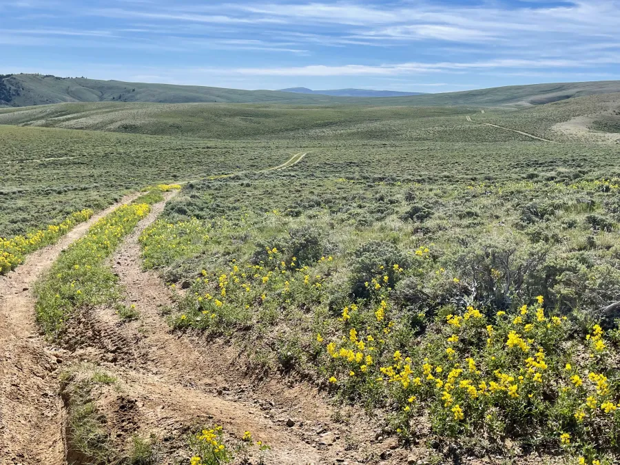 A long view ahead