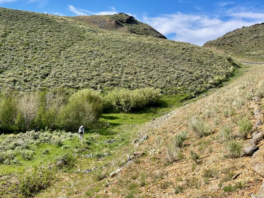 Top O' walks down to the stream at Deep Gulch