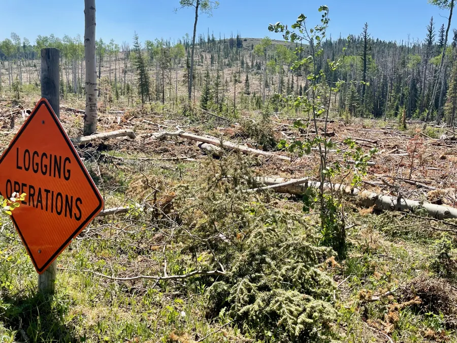 A sign warns of logging operations