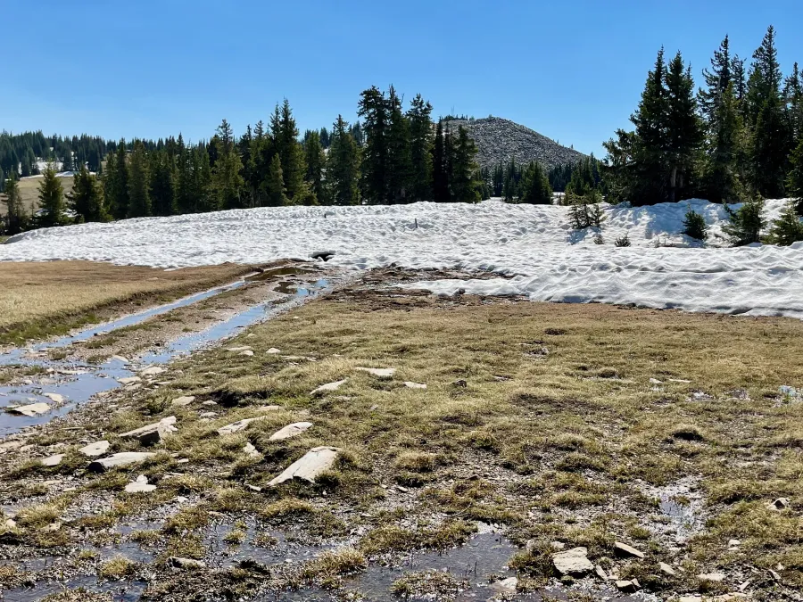 Looking toward Bridger Peak