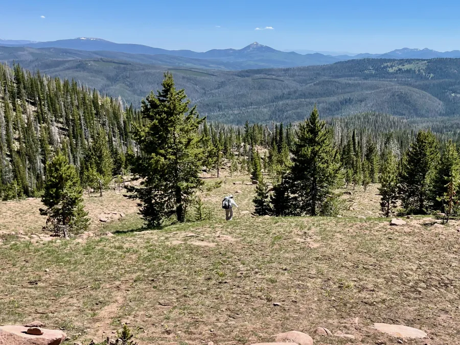 The trail makes a long descent