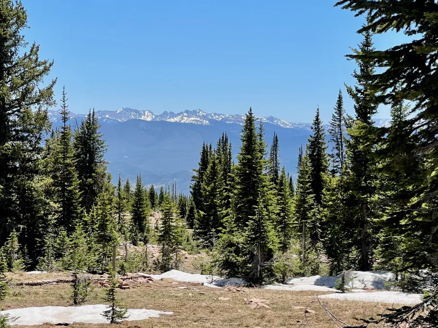 A view of Big Agnes and other mountains