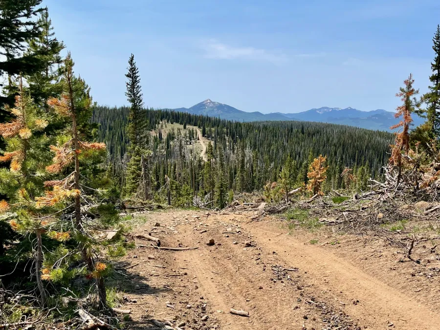 A road stretches far ahead