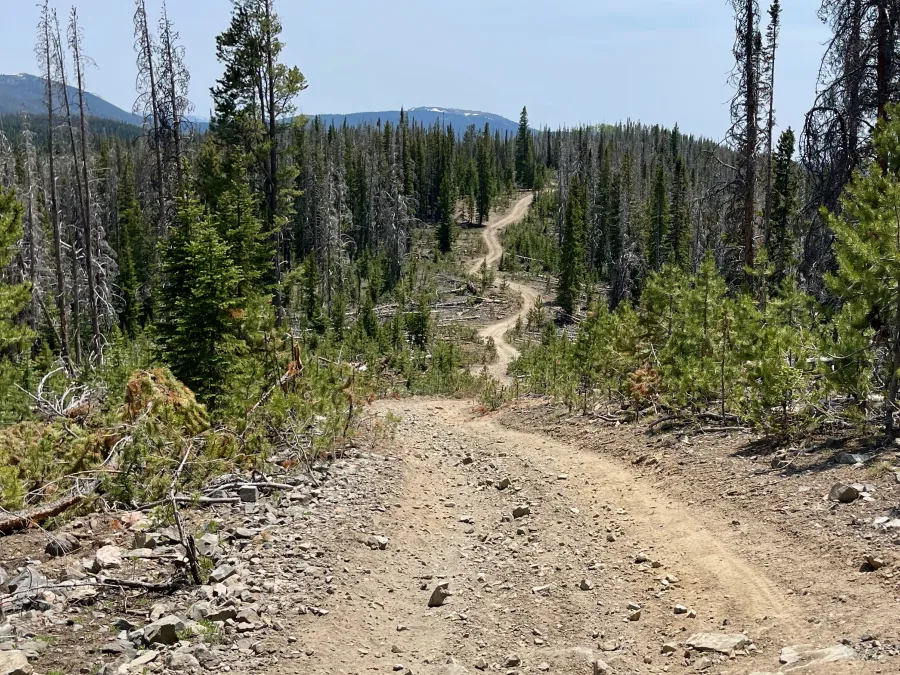A road makes many small curves