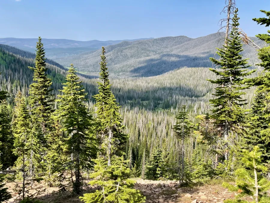 A view looking north to a valley