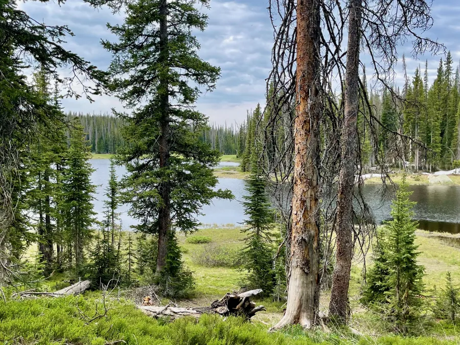 A lake