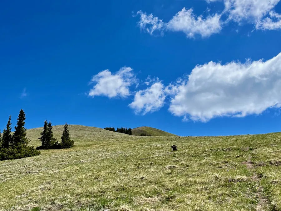 A steep climb up Poison Ridge