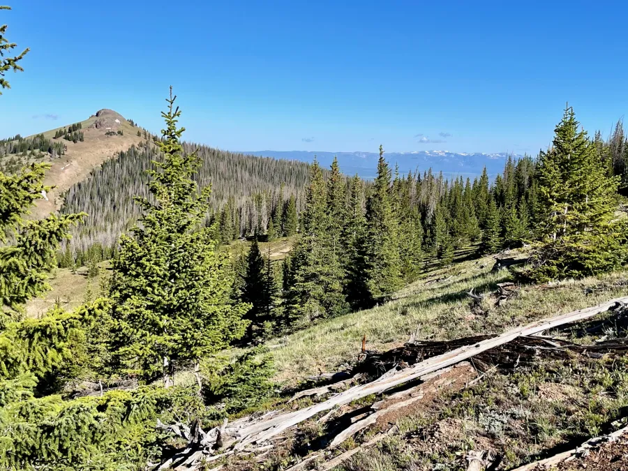 Looking in the direction of Hyannis Peak and Lost Ranger Peak
