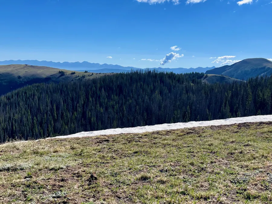 A cloud, not a forest fire
