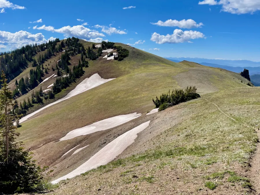 Poison Ridge