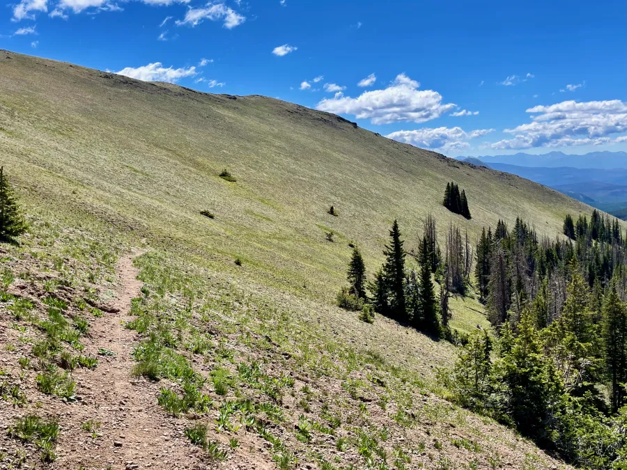 Top of the World Trail on Sheep Mountain 