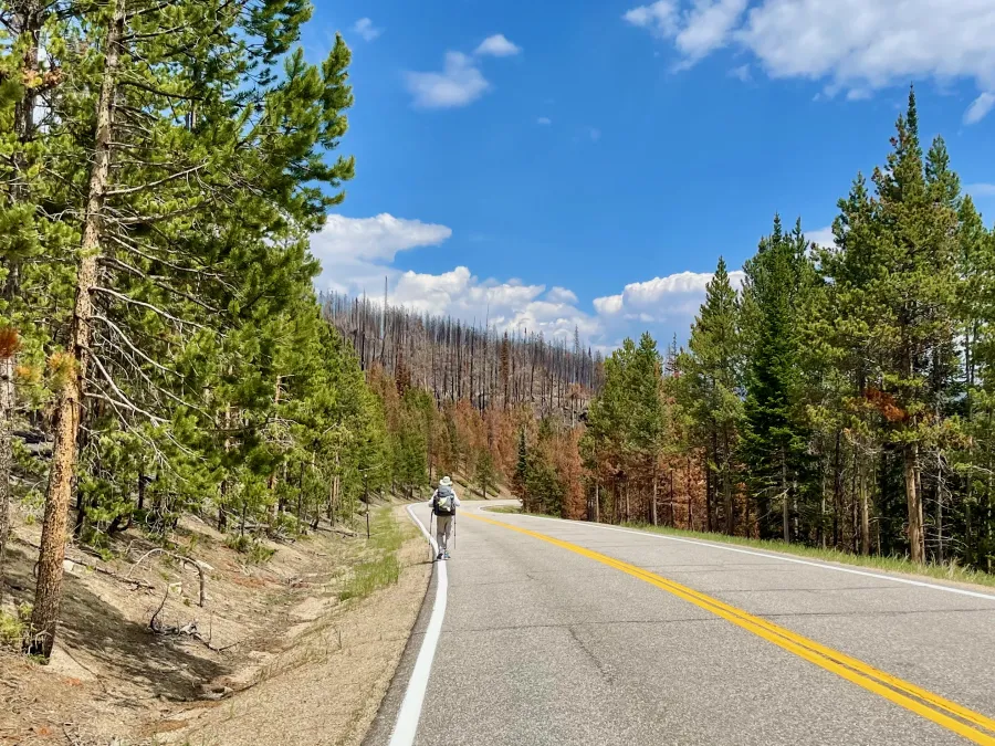 Walking on Colorado Highway 125